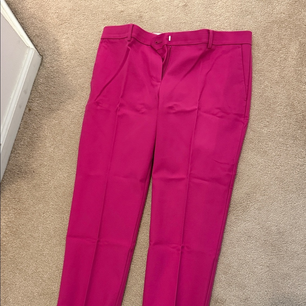 Ann Taylor Vibrant Pink Women's Trousers